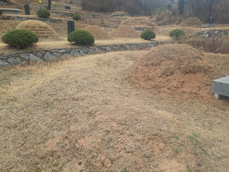 인화리 박민경님 년간관리 의뢰건