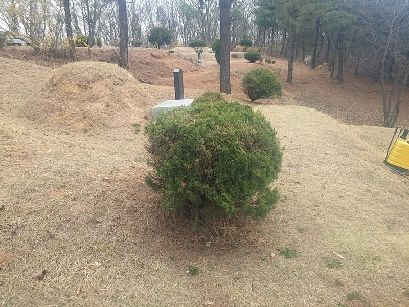 양오리 지봉국님 년간관리 의뢰건