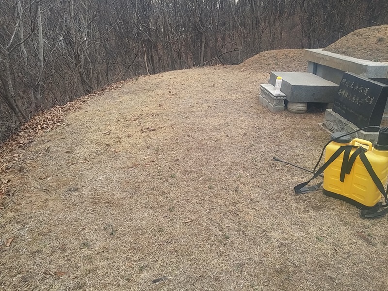 하도리 왕미리님 년간관리 의뢰건