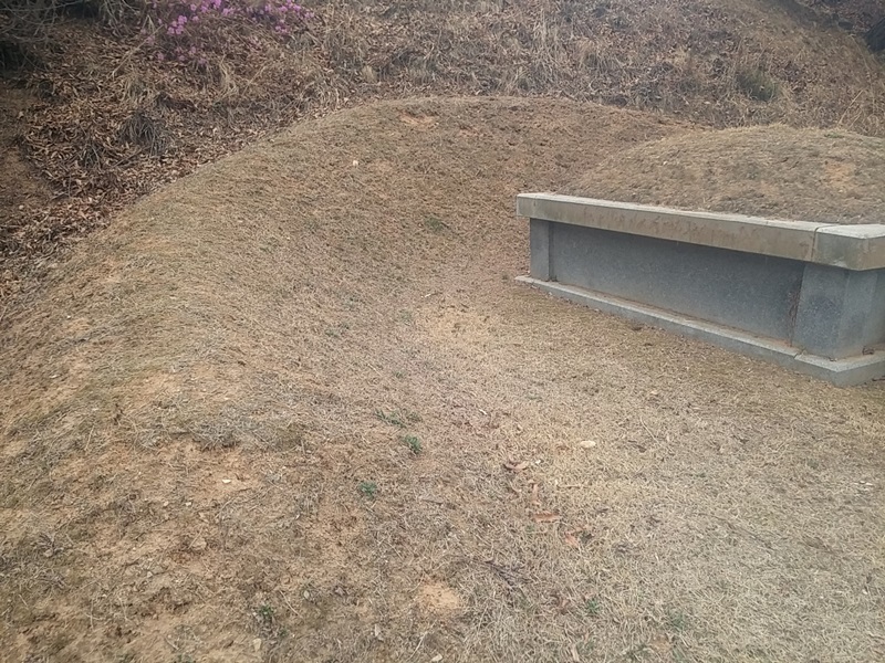 하도리 왕미리님 년간관리 의뢰건