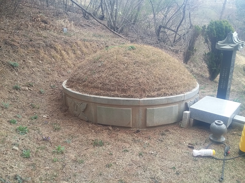 하도리 유희준님 년간관리 의뢰건