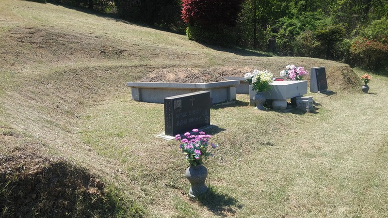 내리 china 유지윤님 년간관리 의뢰건