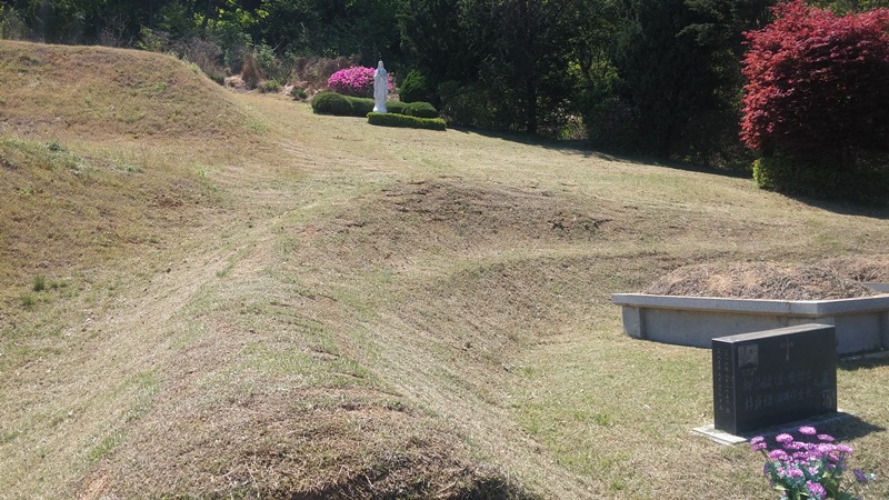 내리 china 유지윤님 년간관리 의뢰건