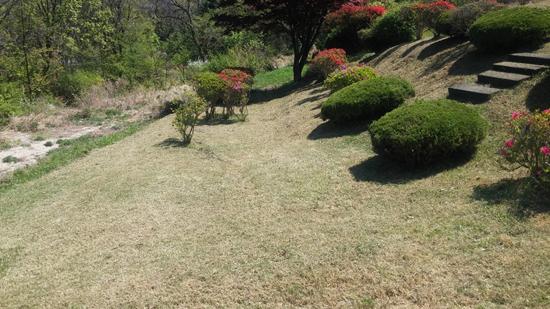 내리 china 유지윤님 년간관리 의뢰건