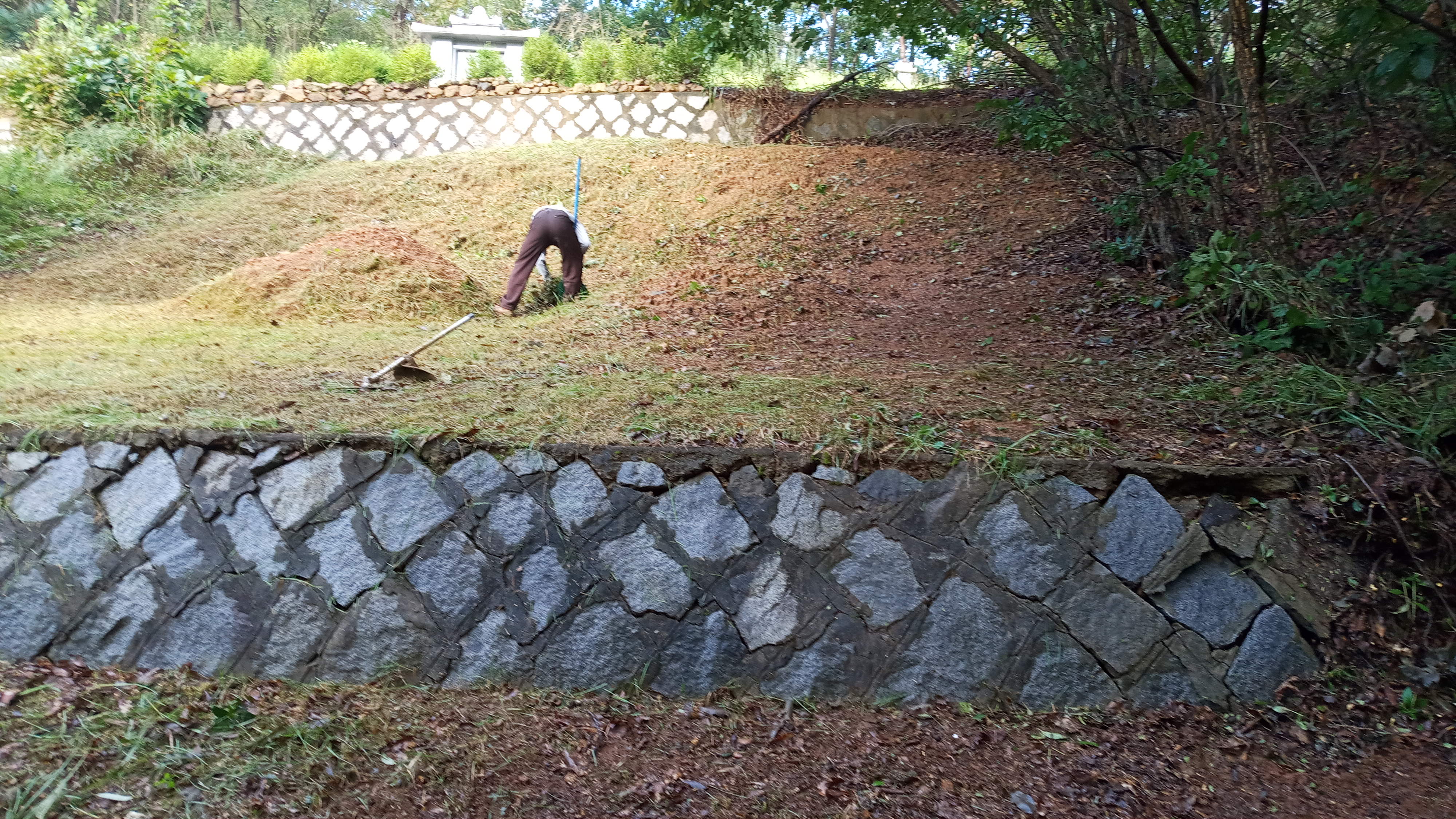 김포고양리 양영순님 벌초대행 의뢰건