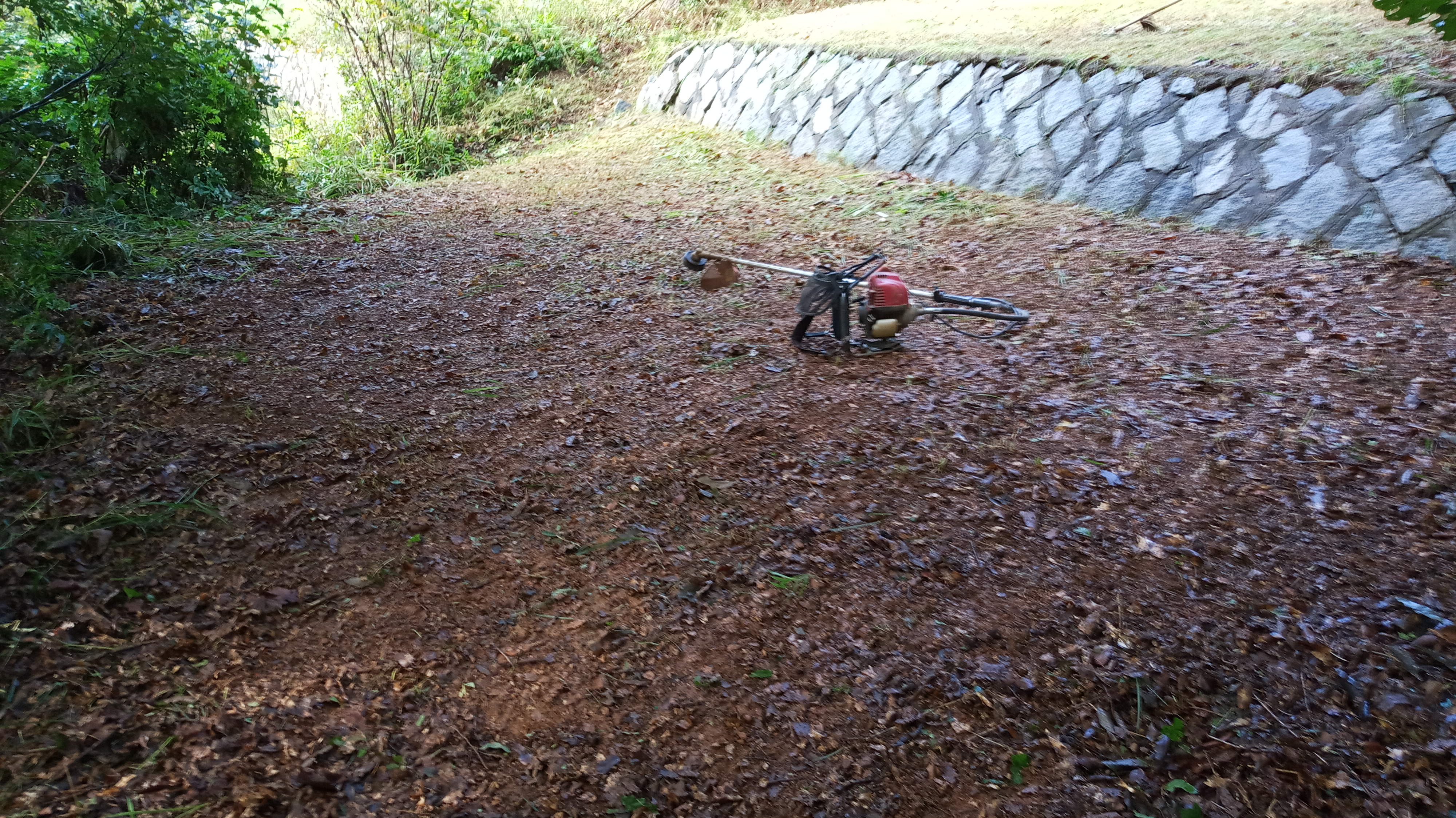 김포고양리 양영순님 벌초대행 의뢰건