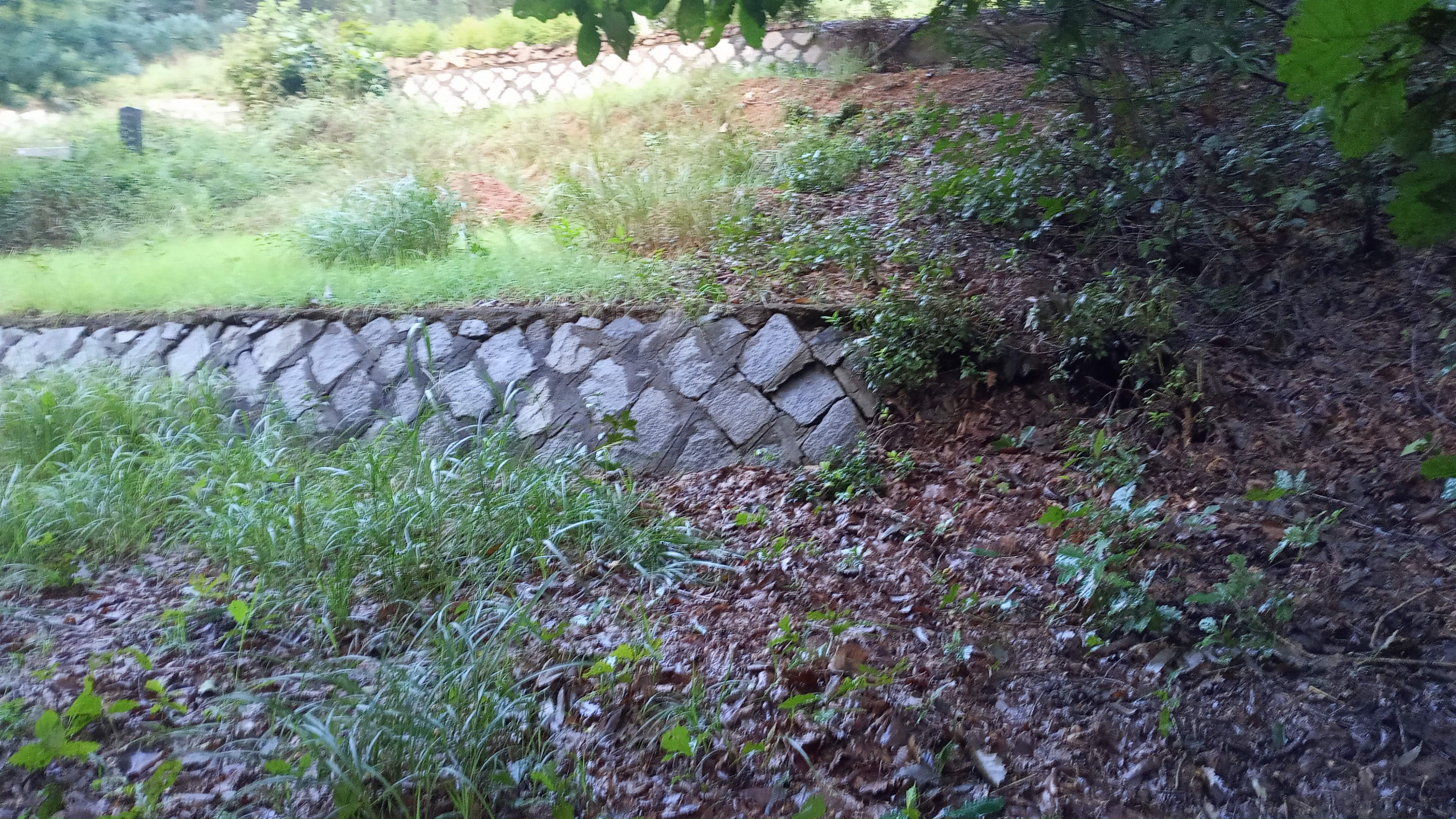 김포고양리 양영순님 벌초대행 의뢰건