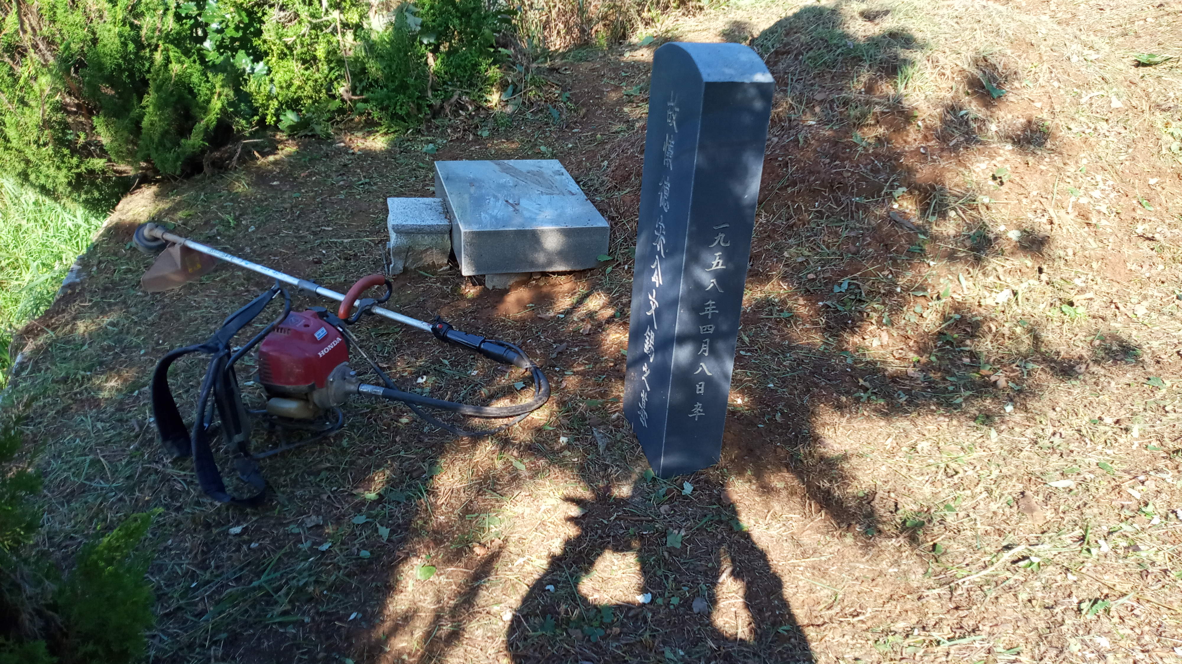 김포상마리 송동환님 벌초대행 의뢰건