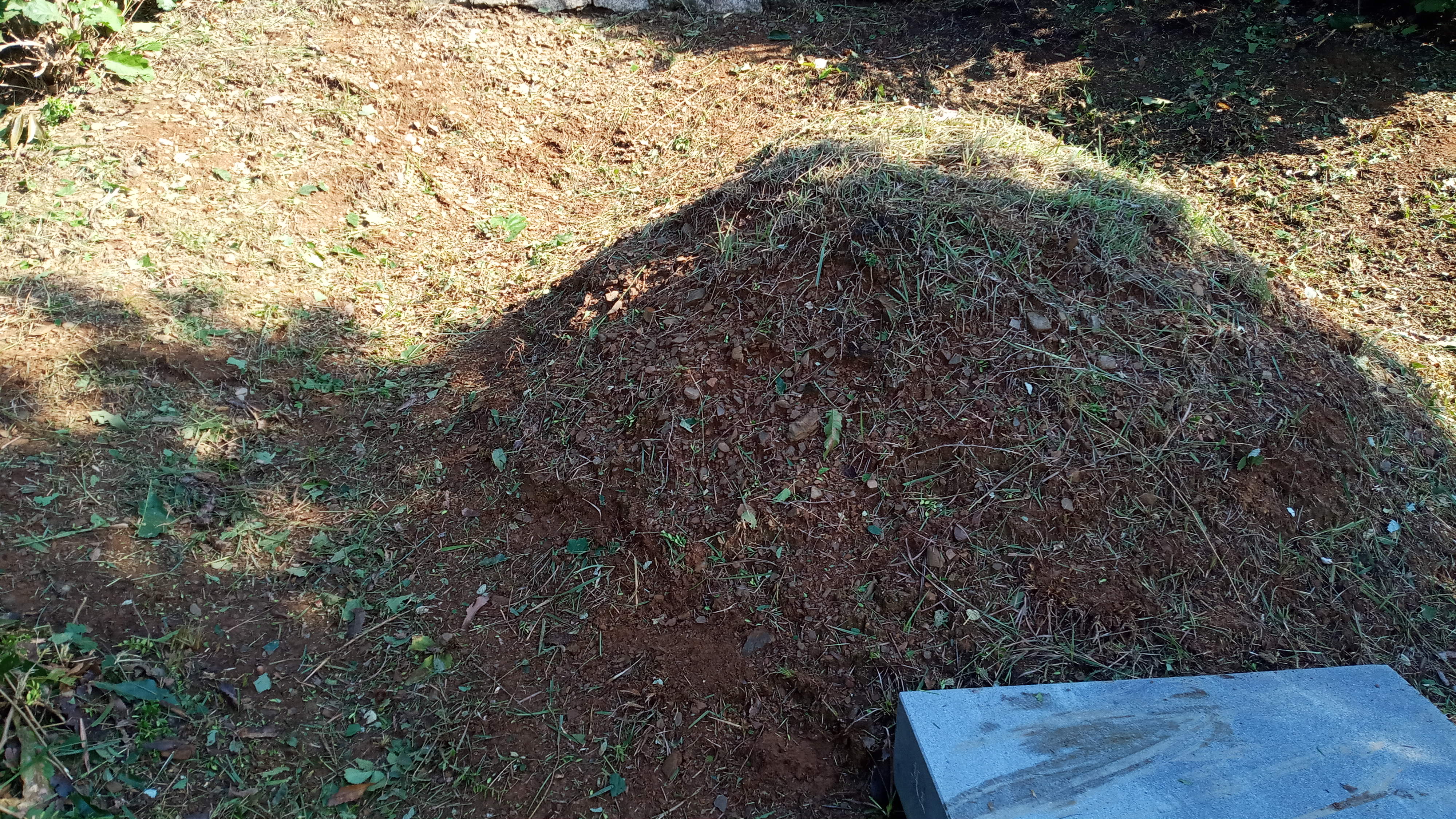 김포상마리 송동환님 벌초대행 의뢰건