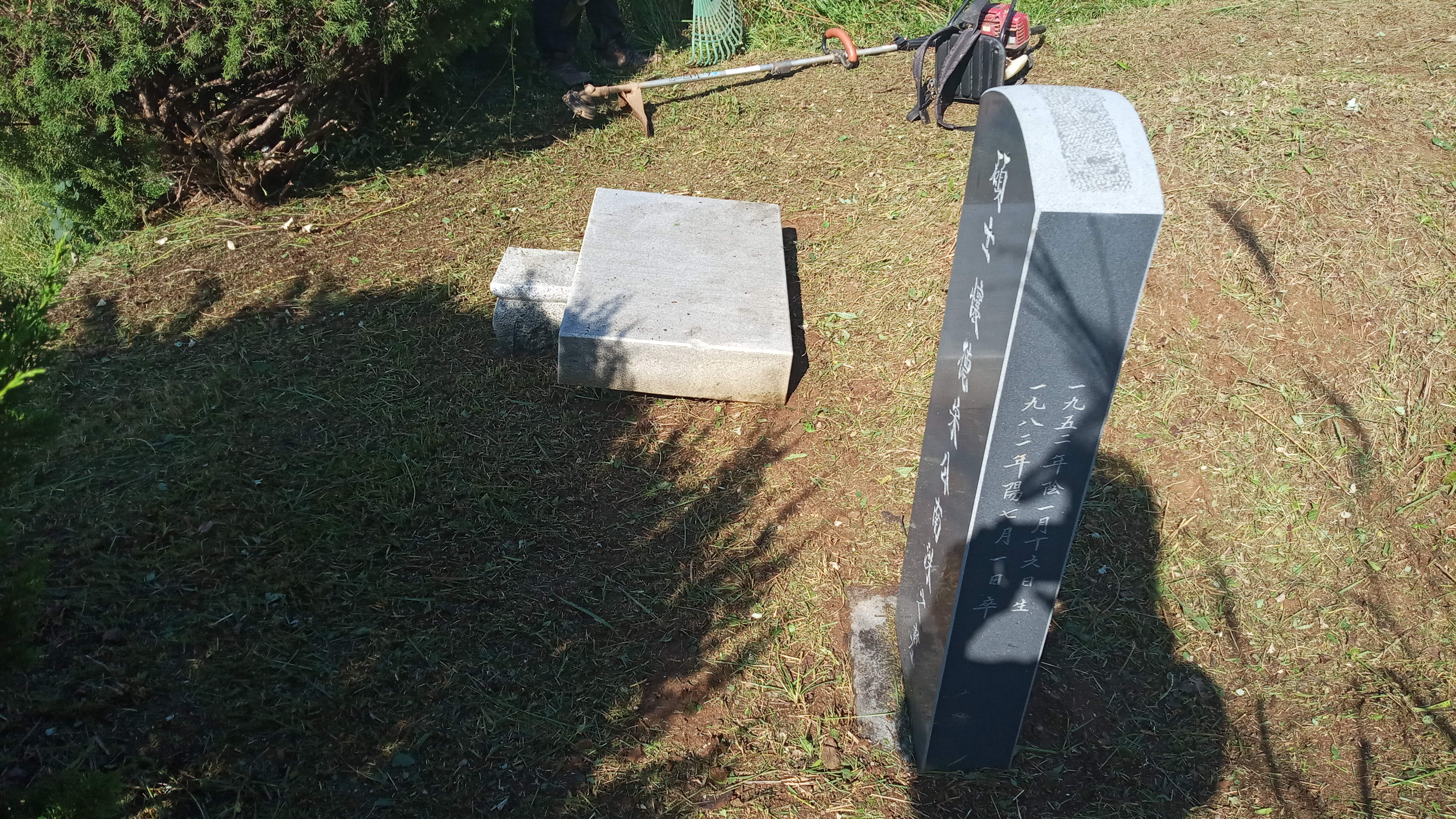 김포상마리 송동환님 벌초대행 의뢰건