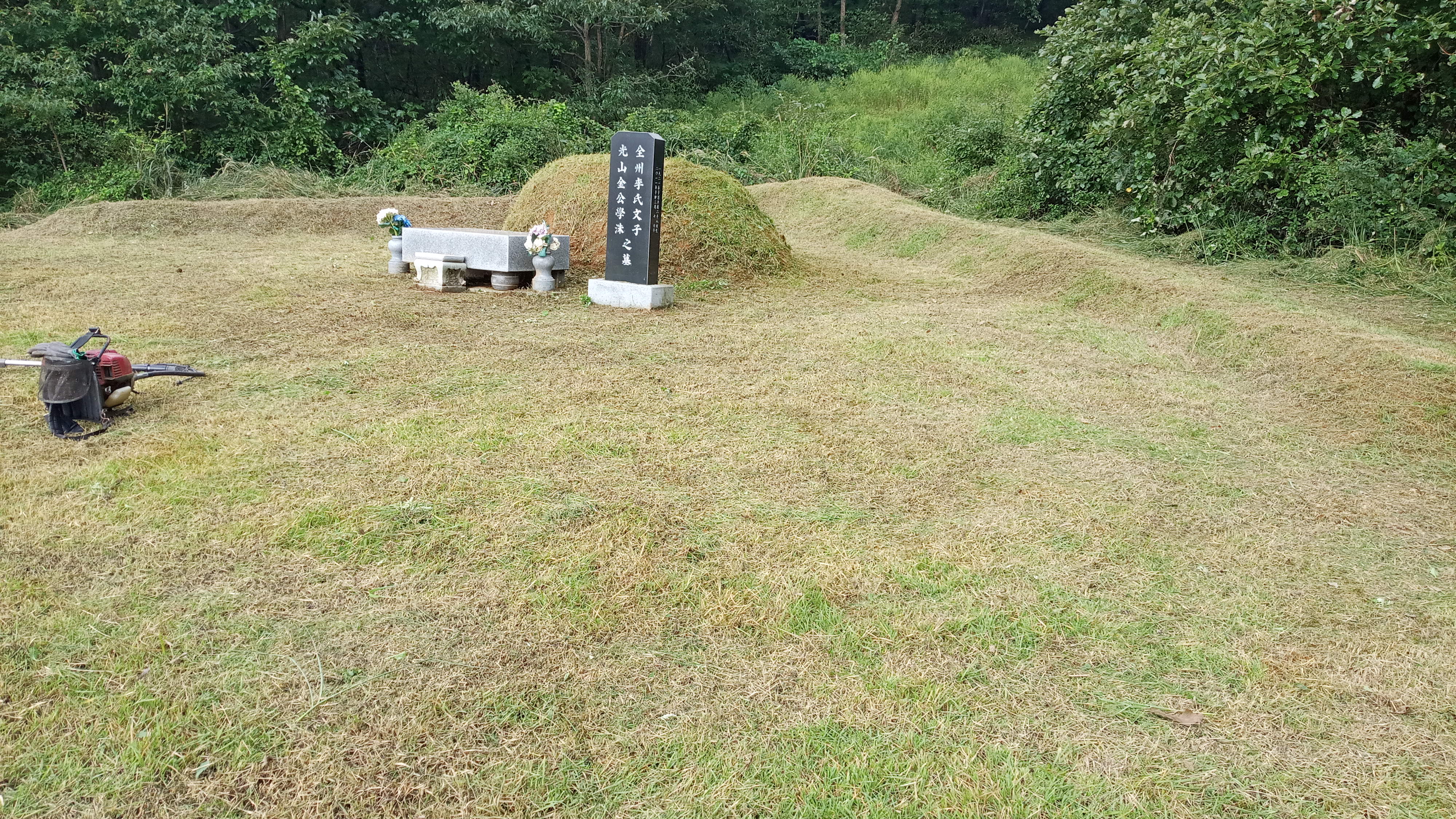 김포조강리 박금희님 벌초대행 의뢰건