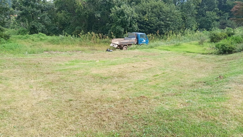  내리 china 유지윤님 년간관리 의뢰건