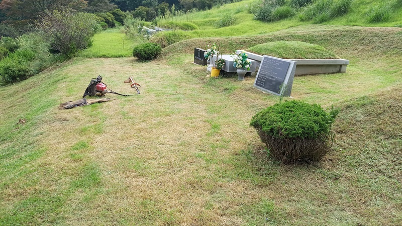  내리 china 유지윤님 년간관리 의뢰건