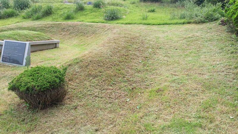  내리 china 유지윤님 년간관리 의뢰건