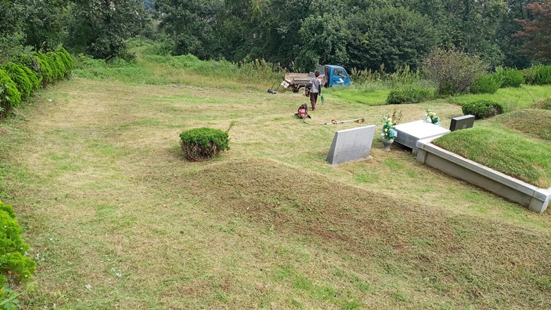  내리 china 유지윤님 년간관리 의뢰건