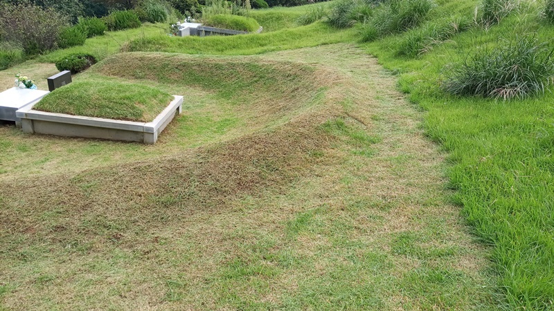  내리 china 유지윤님 년간관리 의뢰건