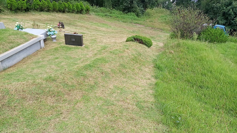  내리 china 유지윤님 년간관리 의뢰건