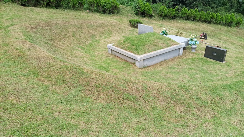  내리 china 유지윤님 년간관리 의뢰건