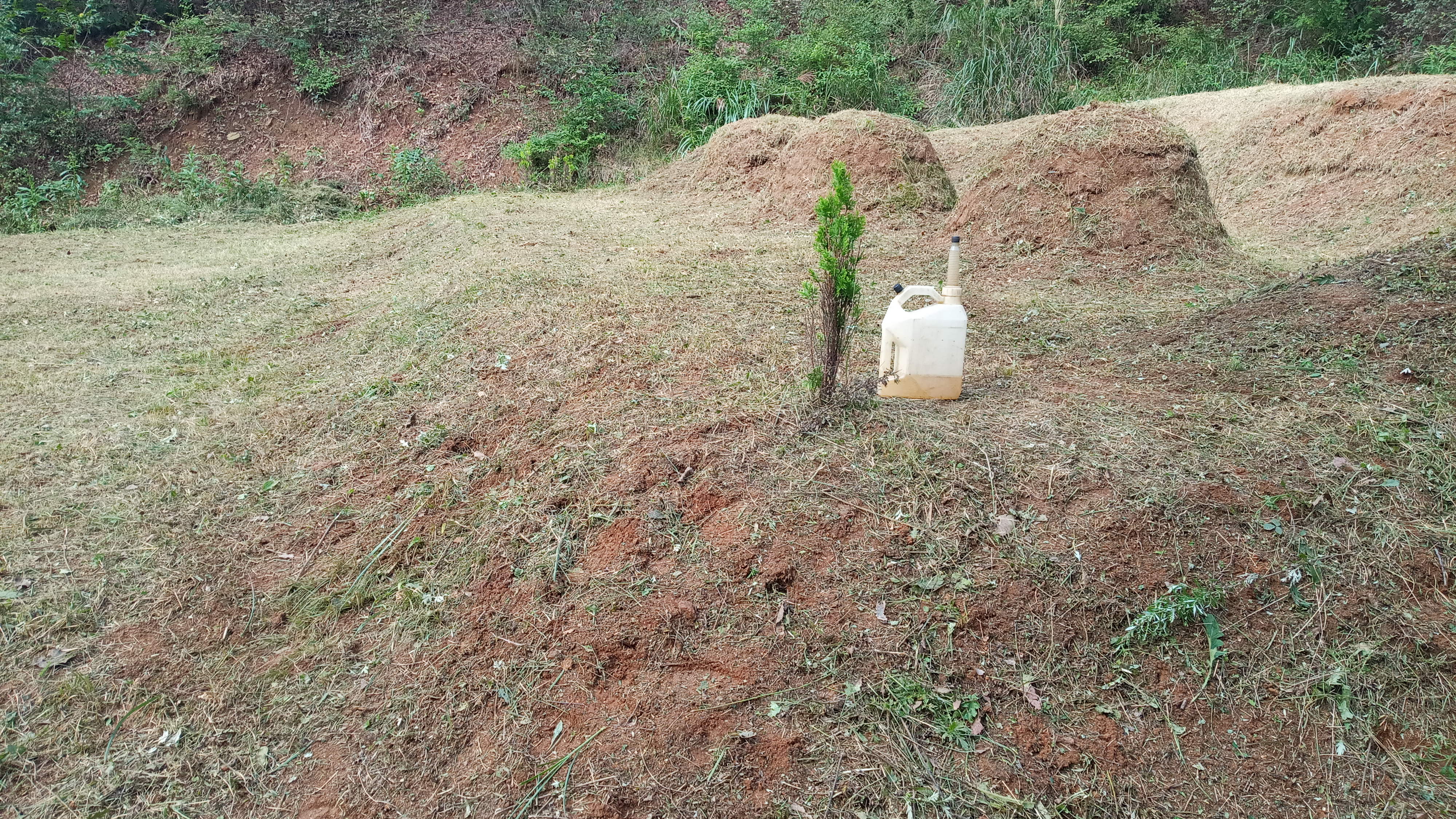 강화군 길정리 황재승님 벌초대행 의뢰건