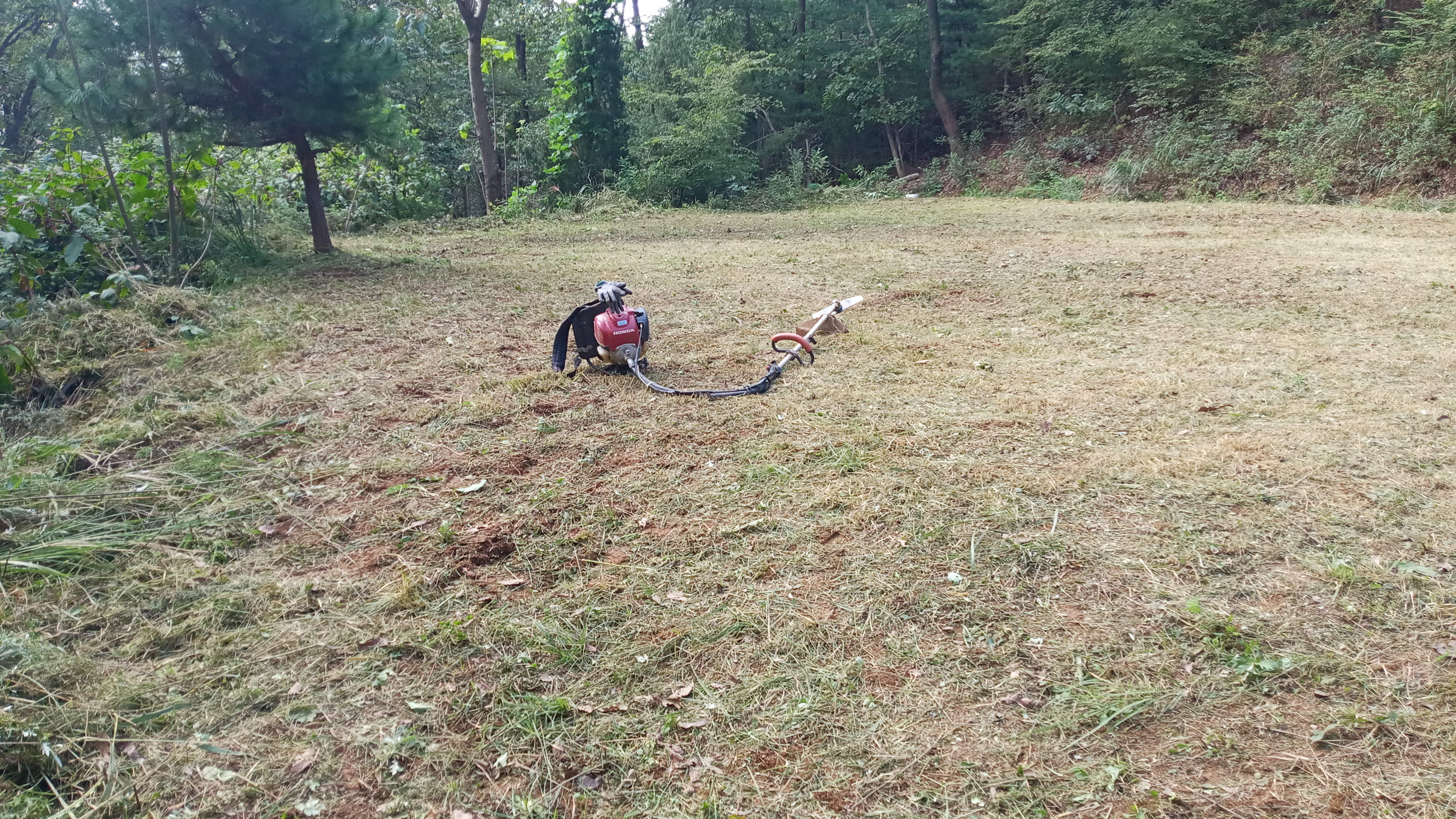 강화군 길정리 황재승님 벌초대행 의뢰건