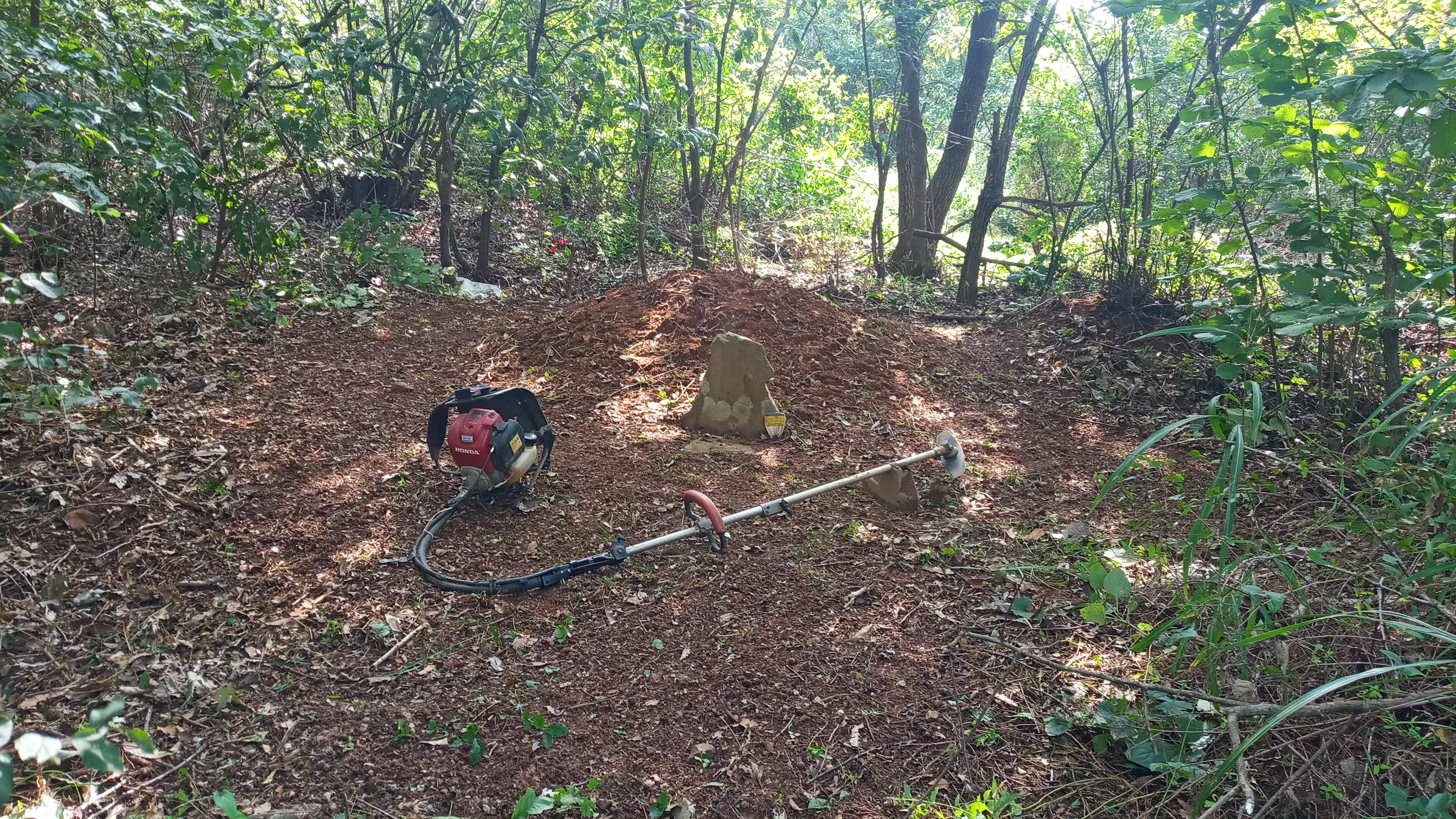 강화군 온수리 김순정님 벌초대행 의뢰건