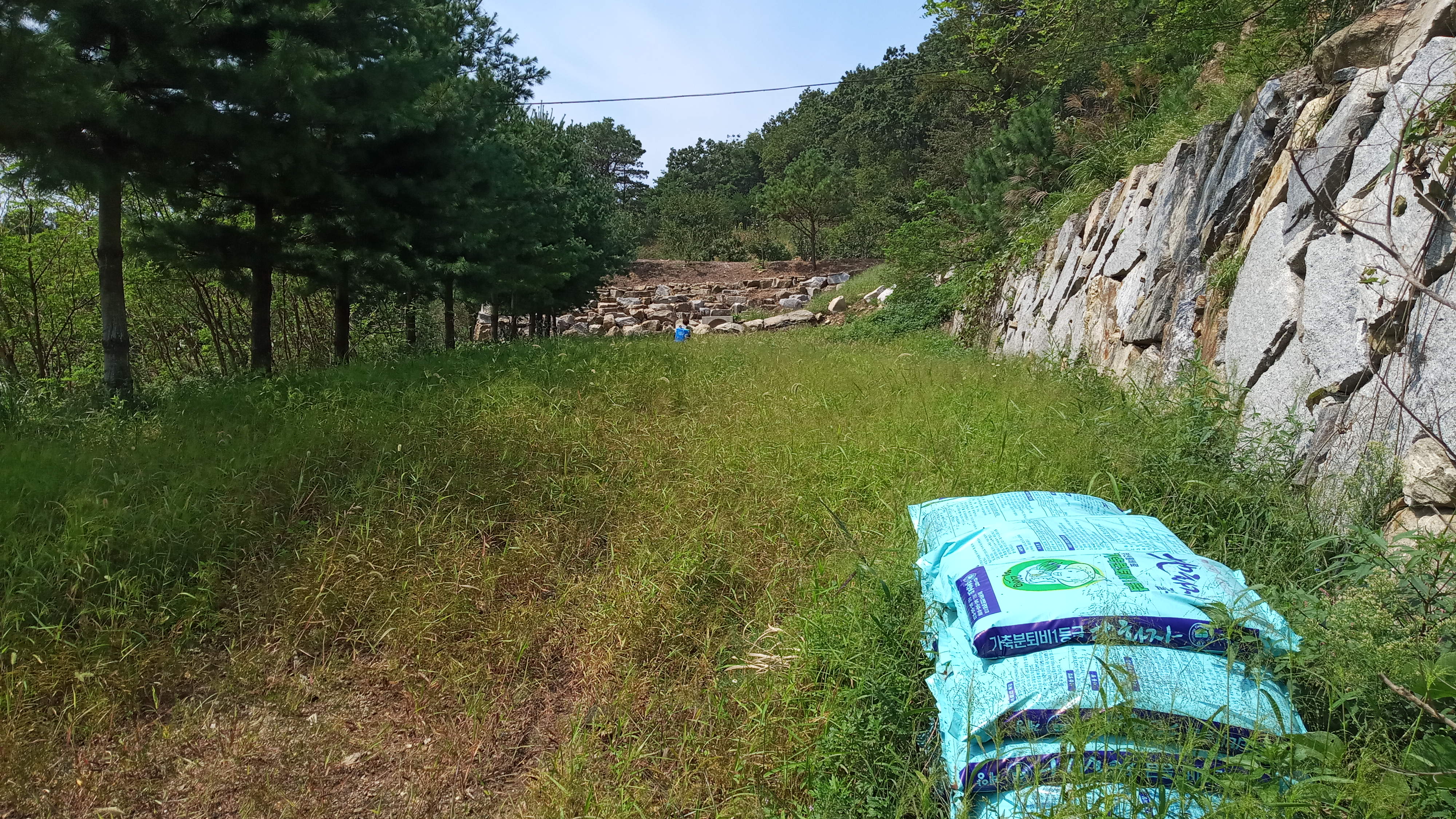 강화군 장화리 최은영님 제초 의뢰건